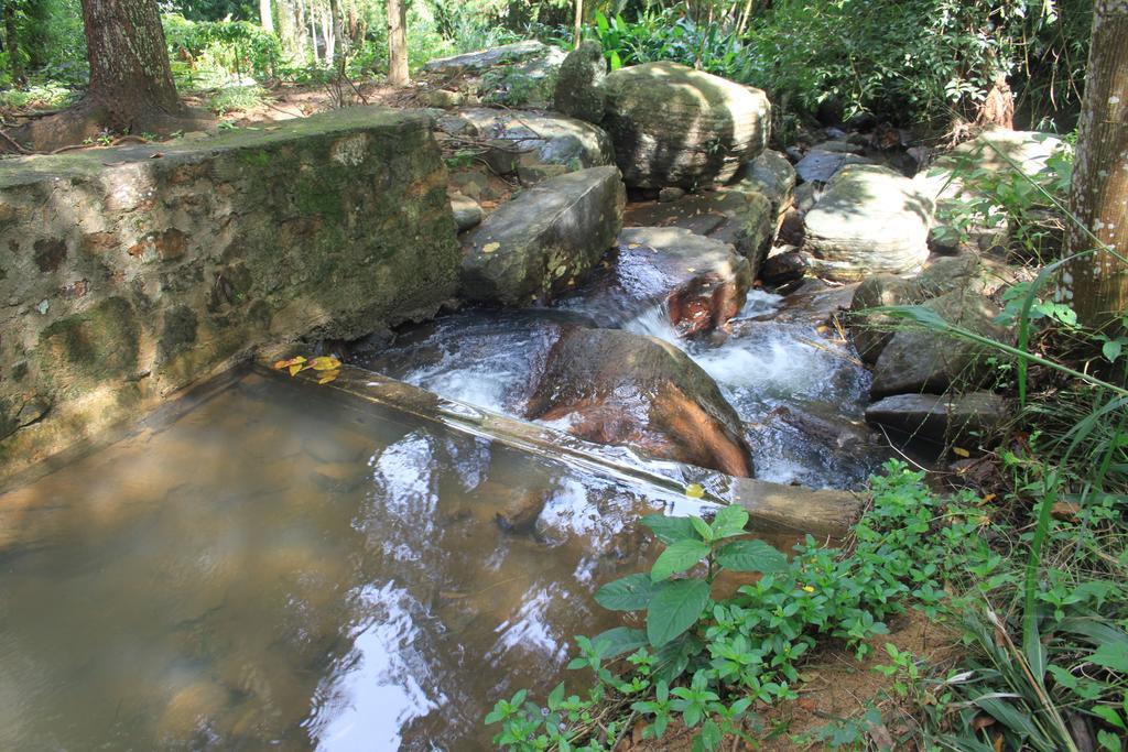 Bed and Breakfast Jungle Tide Kandy Exterior foto