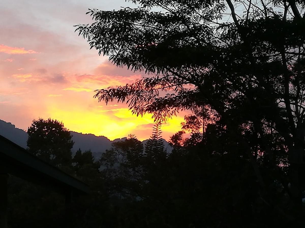 Bed and Breakfast Jungle Tide Kandy Exterior foto